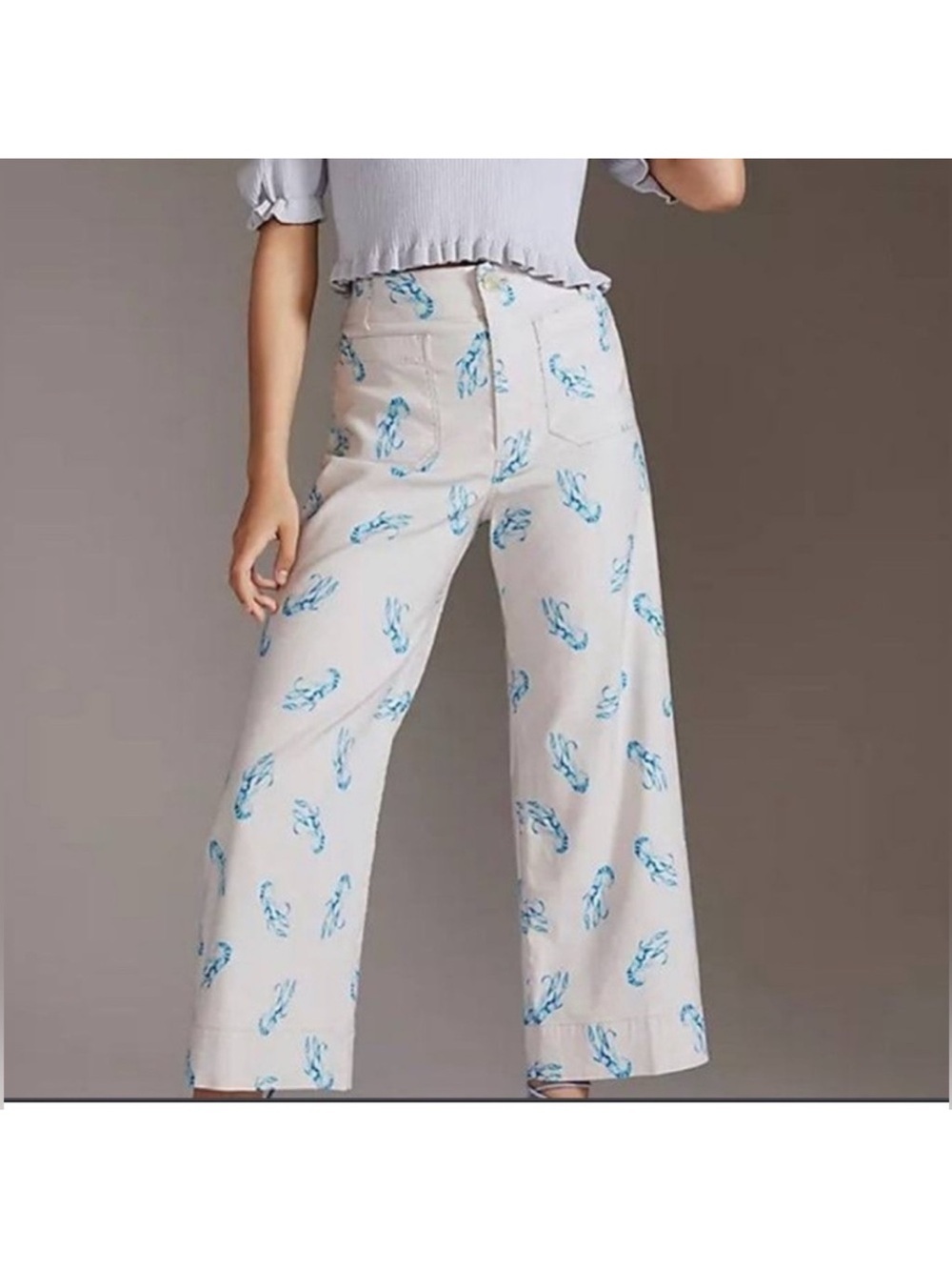 Anthropologie Maeve Colette Lobster Pants Size 26 Excellent condition!